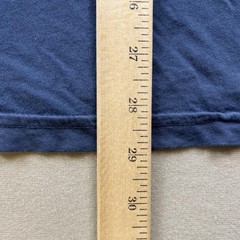 Patagonia T-Shirt Mens XL Blue Fitz Roy Bear Hiking Cotton Short Sleeve 39143