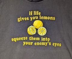 VTG Y2K Delta Pro Weight T Shirt Mens XL When Life Gives You Lemons Funny Tee