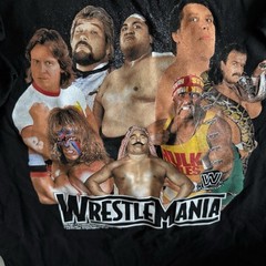 WWE Wrestle Mania Super Stars Legends Retro Graphic Shirt Hulk Hogan Andre Giant