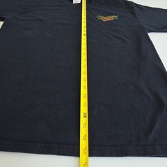 Vintage 2004Gildan Ultra Cotton Heavyweight Coors Light Tiki Graphic Tee Black M