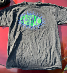 Vintage Hole Giant Tultex Shirt 1995 Preowned Courtney Love 1 owner XL rare tour