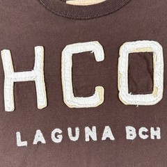 Hollister Mens Long Sleeve T-Shirt 2 Pack Blue Brown Malibu Laguna Graphic L