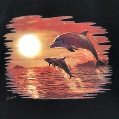 Dolphin Graphic T-Shirt Sunset Ocean Print Short Sleeve Anvil Men’s Size XL