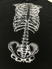 Way To Celebrate Mens Black Anatomy101 Short Sleeve Graphic Shirt Sz 3XL(54-56)