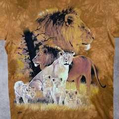 The Mountain (2001) Busch Gardens USA Lion Tiger Wildlife Tie Dye T-Shirt Medium