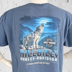 Harley Davidson Motorcycle T Shirt Size XXL Hillbilly Gatlinburg Tennessee Tee