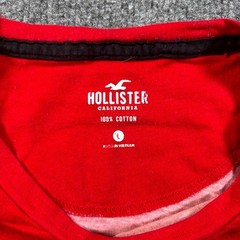 Hollister California Tee Shirt Mens Large Red Black Gradient Graphic Spell Out