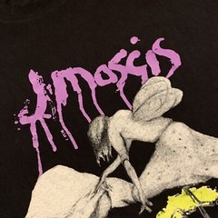 J Mascis Elastic Days T-Shirt Size XL Dinosaur Jr Nirvana RARE!