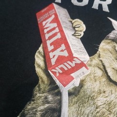 Cat tee shirt for the homies milk size small gothcore festival retro black