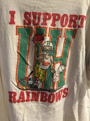 80s University Of Hawaii UH Sports Poly Tees Single Stitch I Support Rainbows 🌈