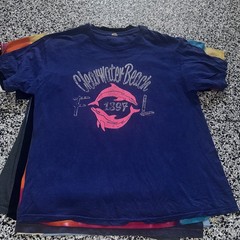 Wholesale Lot Of 14 Various Sizes Vintage Destination T-shirts (41)