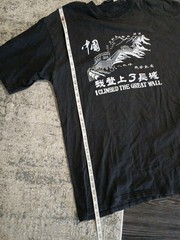 Vintage I Climbed The Great Wall T Shirt Adult Large Tourist China Hipster 3X