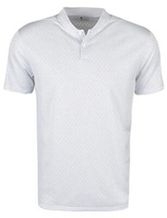 Nike Mens Golf Dry-FIT Vapor Texture Polo Grey CI7911 042
