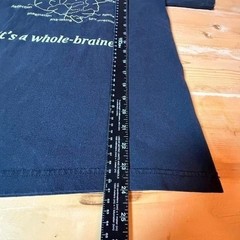 Bayside Mens Art Whole Brainer Graphic T-Shirt Black Small Made in USA