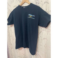 Gildan: vintage mustang shirt