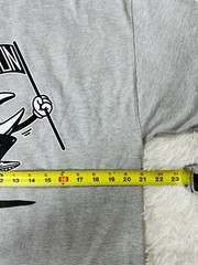 Champion Classic T-Shirt “Animated Running Logo” Size Large (Gray)