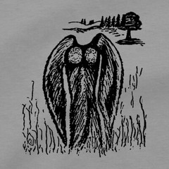 Mothman T Shirt Appalachia West Virginia Folklore Supernatural Paranormal Tee