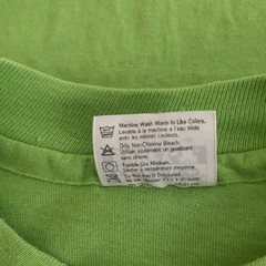 Vintage Hanes Beefy T Mens Shirt XL Green Single Stitch Tokyo Express 1991