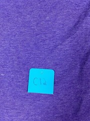 Ministries Mens Shirt Medium purple Lion student Ministries