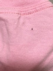 RARE Pink Green Day Official Merchandise Festival Pullover Men’s M Shirt Punk