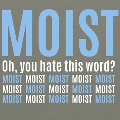 Moist – Funny Sarcastic Offensive Sayings T-Shirt