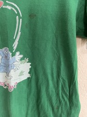 1975 True Vintage Fran Mar Wanna Play? Waterprint Vintage Tee Shirt Green 70’s