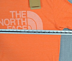 The North Face T-Shirt Men’s L Orange Half Dome Logo Slim Fit Graphic Tee NWT
