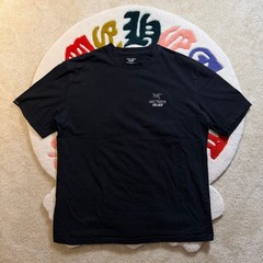 Arcteryx Palace T-Shirt Mens XL Black Tri-Ferg Logo Gorpcore Streetwear Tee