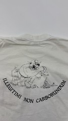 Vintage Idaho City Smoke Chasers Shirt Mens Large White Fire Tee Stedman USA