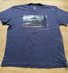 Set Of 5 Mens Tshirts Different Brands Size L