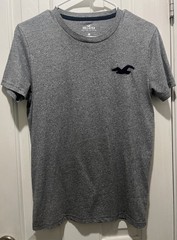 Lot of 2 T- Shirts Hollister Must Have Collection Men’s Sz XS