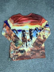 Horse Shirt Mens M Western Plains Graphic Long Sleeve Crew Jersey Casual