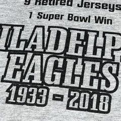 Philadelphia Eagles 1933-2018 Priceless T Shirt Size Large Gildan Hammer Gray