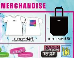 Official HANABIE. Japan Tour Patch Shirt Poster CD Keychain
