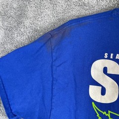 Seattle HempFest T Shirt Men Large Blue Staff 2015 SS Distressed Pot Leaf Grunge