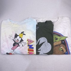 Wholesale Lot of 30 Cartoon/Anime Graphic Short Sleeve Tee Shirts(Sizes In Desc)