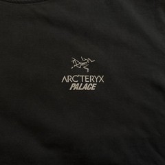 Arcteryx Palace T-Shirt Mens XL Black Tri-Ferg Logo Gorpcore Streetwear Tee