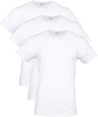 Gildan Men’s Cotton Stretch T-Shirts (2x ) 3 tees Arctic White
