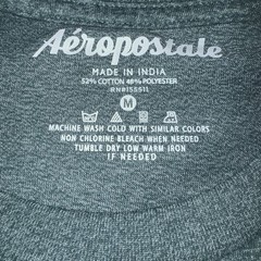 Aeropostale Men’s Medium Raised Logo T-shirt Sagebrush Green Marled