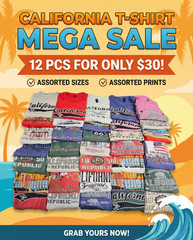 California Graphic T-Shirts 12-Pack Size 2xl Perfect Gift