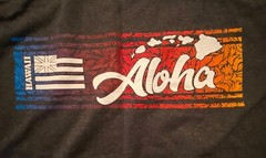 Men’s T-Shirts XL Cotton / Cotton Blend Hawaii Graphic Gray Black Various Brands
