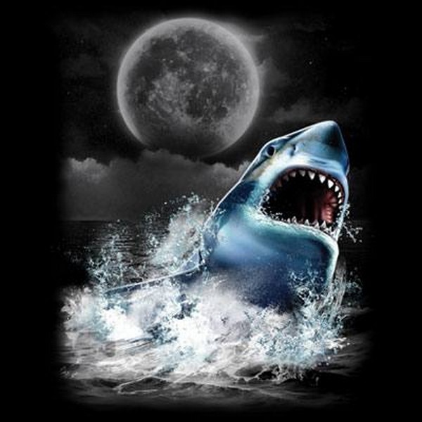Shark Wilderness Black T Shirt Choose Style & Size Up to 4XL Wild Nature 10447