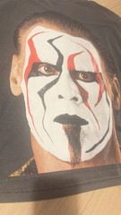 Westside Gunn ‘Thank You Sting’ T-Shirt XL 4th Rope WWE AEW, Oversized Fit (XL)
