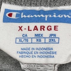 Champion Shirt Mens XL Gray Red Blue Script Logo Graphic Short Sleeve Crew Tee