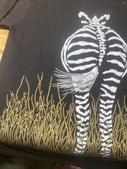 Tinga Tinga 100% Cotton Large Long T Shirt or Pajama Top Front & Back of Zebra