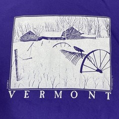 Vintage Vermont Shirt Mens XL Purple Don Doubleday Winter Scene 1993 Hanes USA