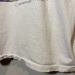 Vintage Cozumel Mexico T Shirt Adult Distress Dolphins Animals Outdoors Ocean XL