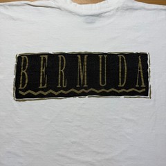 Vintage 90s Bermuda Box Logo Beach Island Resort Graphic Souvenir T-Shirt – XL