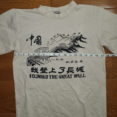Great Wall of China I climbed the Great Wall Beige Tshirt Souvenir Beige China