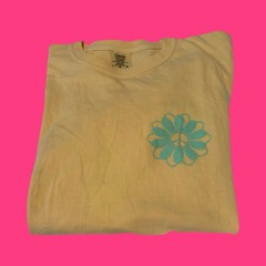 Comfort Colors Unisex Tee Shirts Size L Inspirational Themed “You Pick”